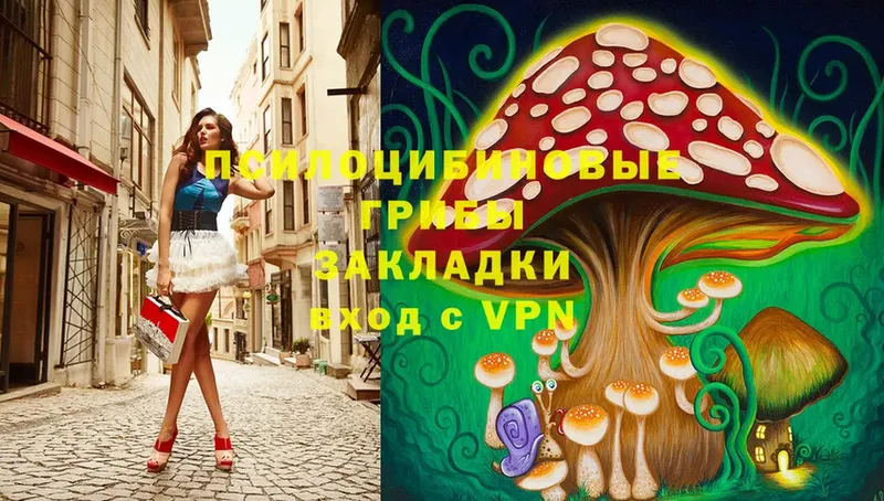 Галлюциногенные грибы MAGIC MUSHROOMS  наркотики  Верхнеуральск 